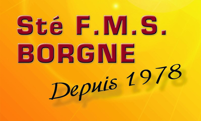FMS Borgne — Depuis 1978